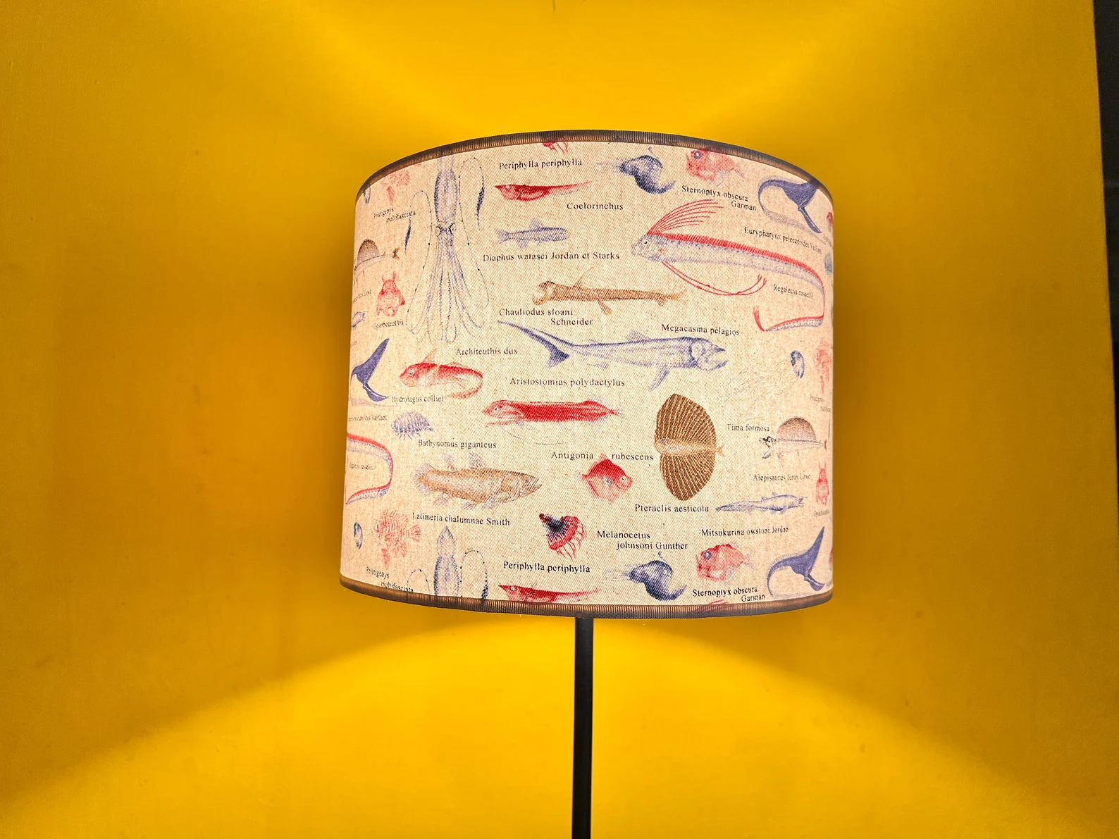LAMPSHADE OKINAHANA WHITE handmade Japanese cotton