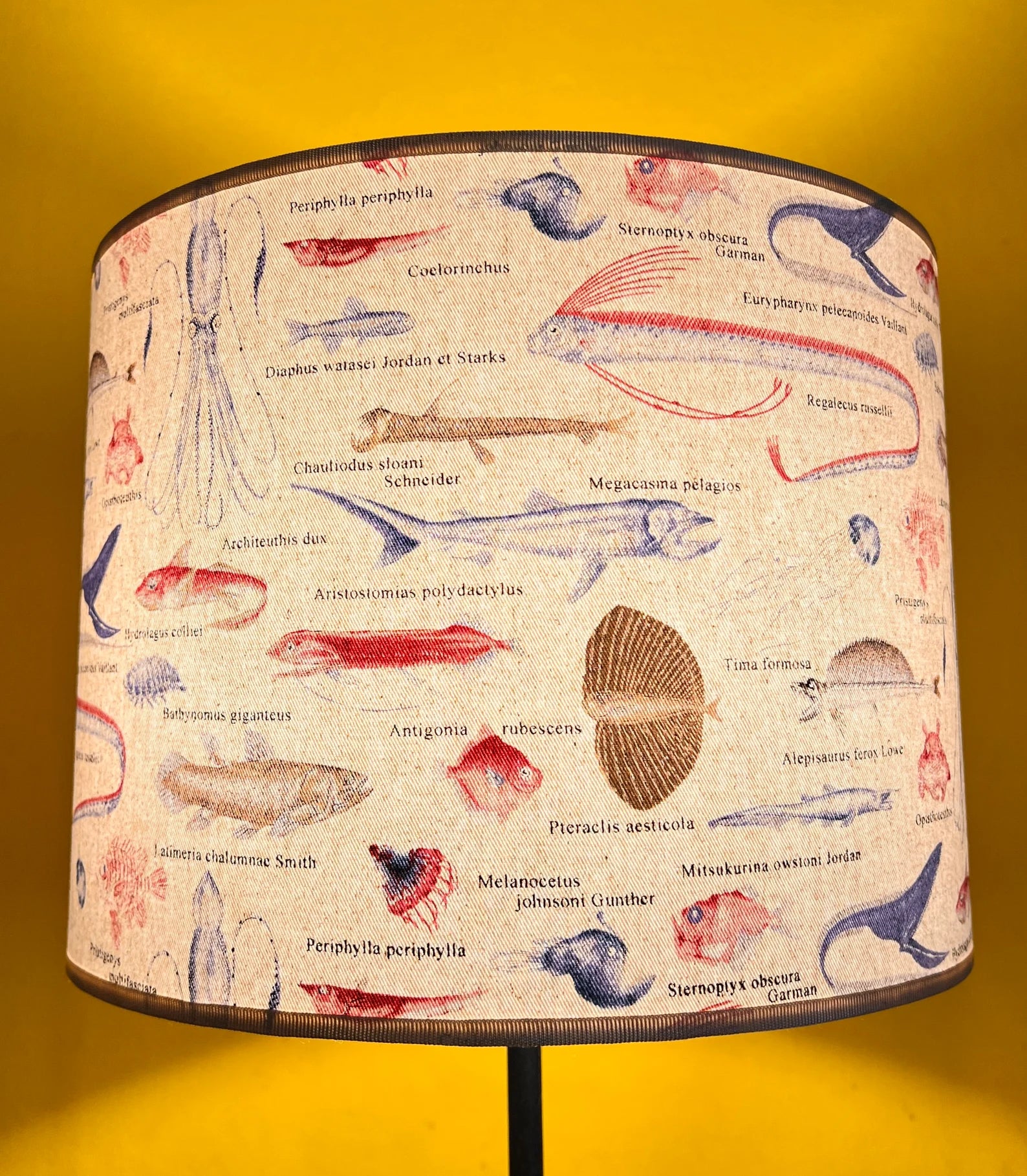 LAMPSHADE OKINAHANA WHITE handmade Japanese cotton